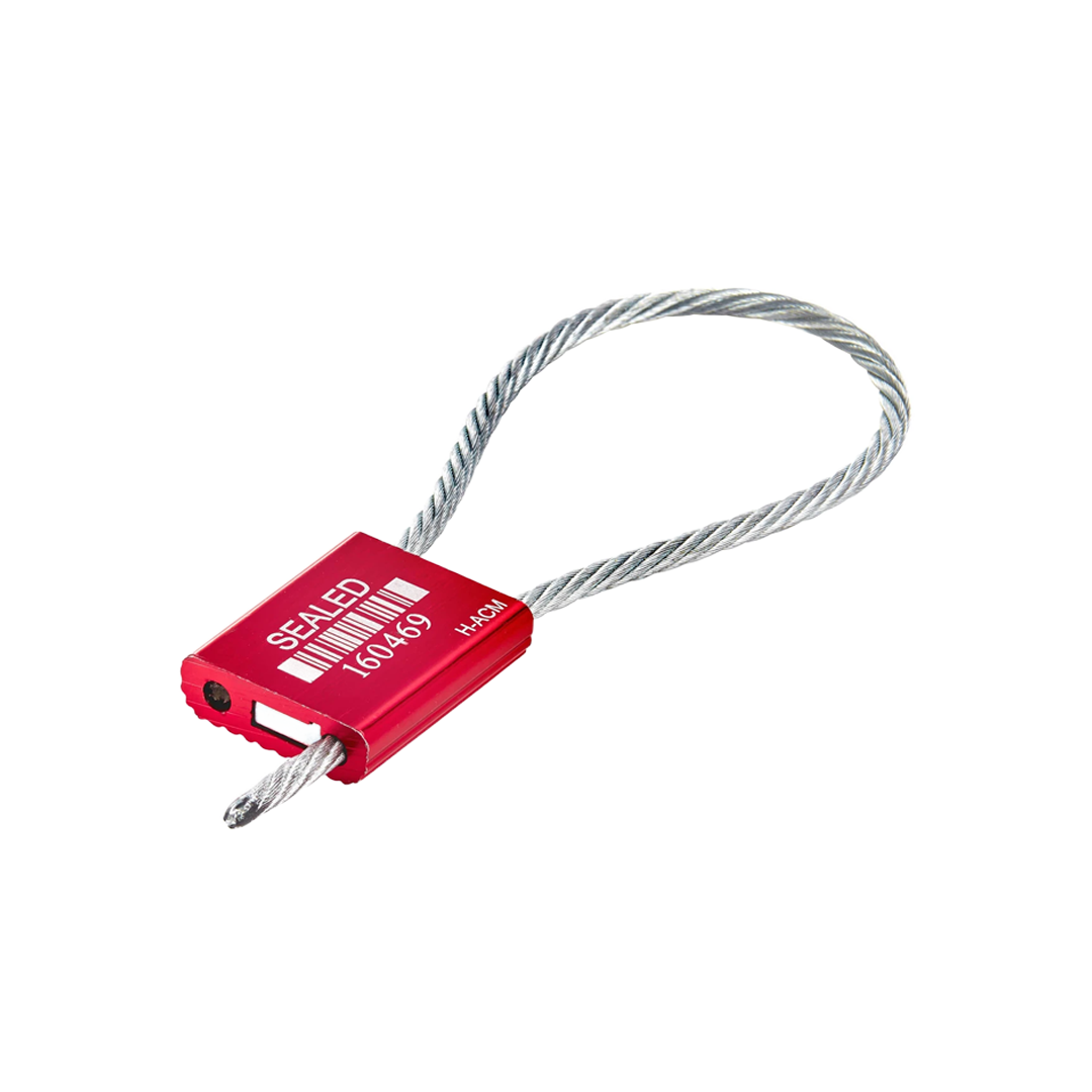 SCELLE DE SECURITE CABLE