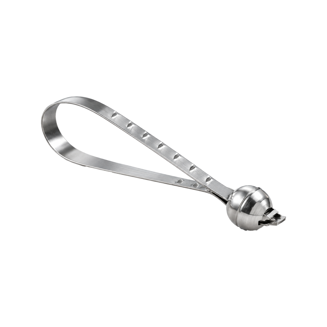 SCELLE DE SECURITE BALL SEAL